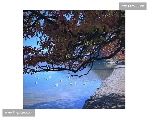 冬季湖畔景色的独特魅力与欣赏方式探索 冬季湖畔景色的独特魅力与欣赏方式探索