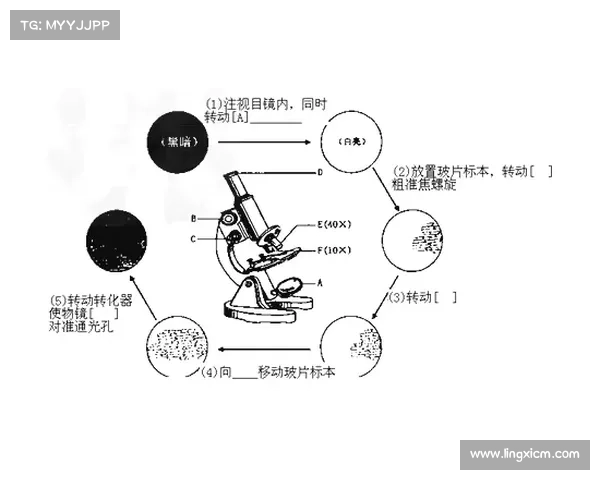 冰虫鳞片的微观结构与功能机制探究及其生物学意义分析 冰虫鳞片的微观结构与功能机制探究及其生物学意义分析