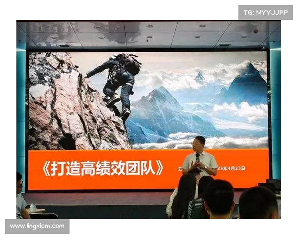 团队团结与韧性构建的核心要素与成功路径探讨