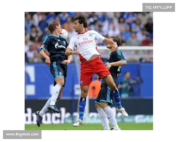 法尔范在沙尔克04的战术定位与角色分析揭秘