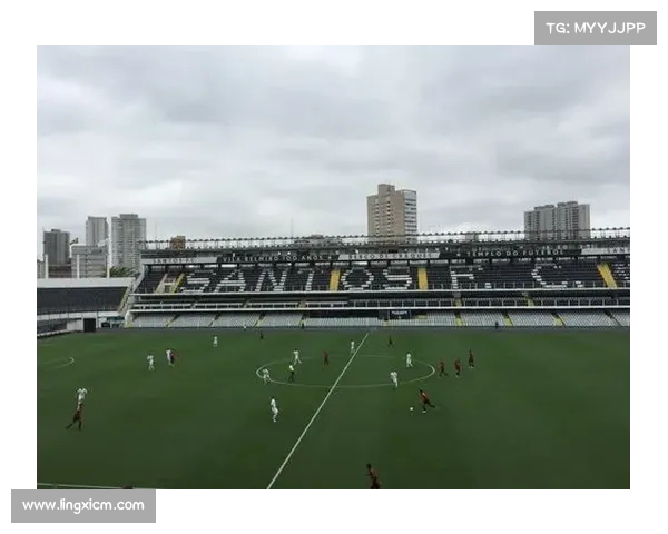 如何借鉴桑托斯足球俱乐部青训体系提升国内青少年足球发展水平