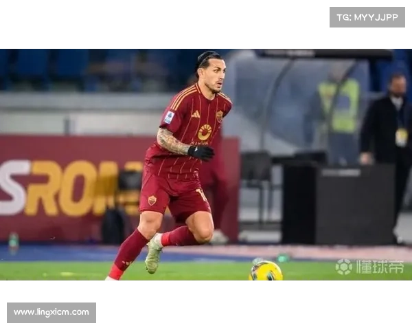 帕雷德斯在美洲杯的辉煌成就与罗德里戈的崭露头角分析